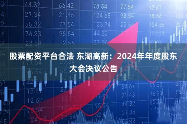 股票配资平台合法 东湖高新：2024年年度股东大会决议公告